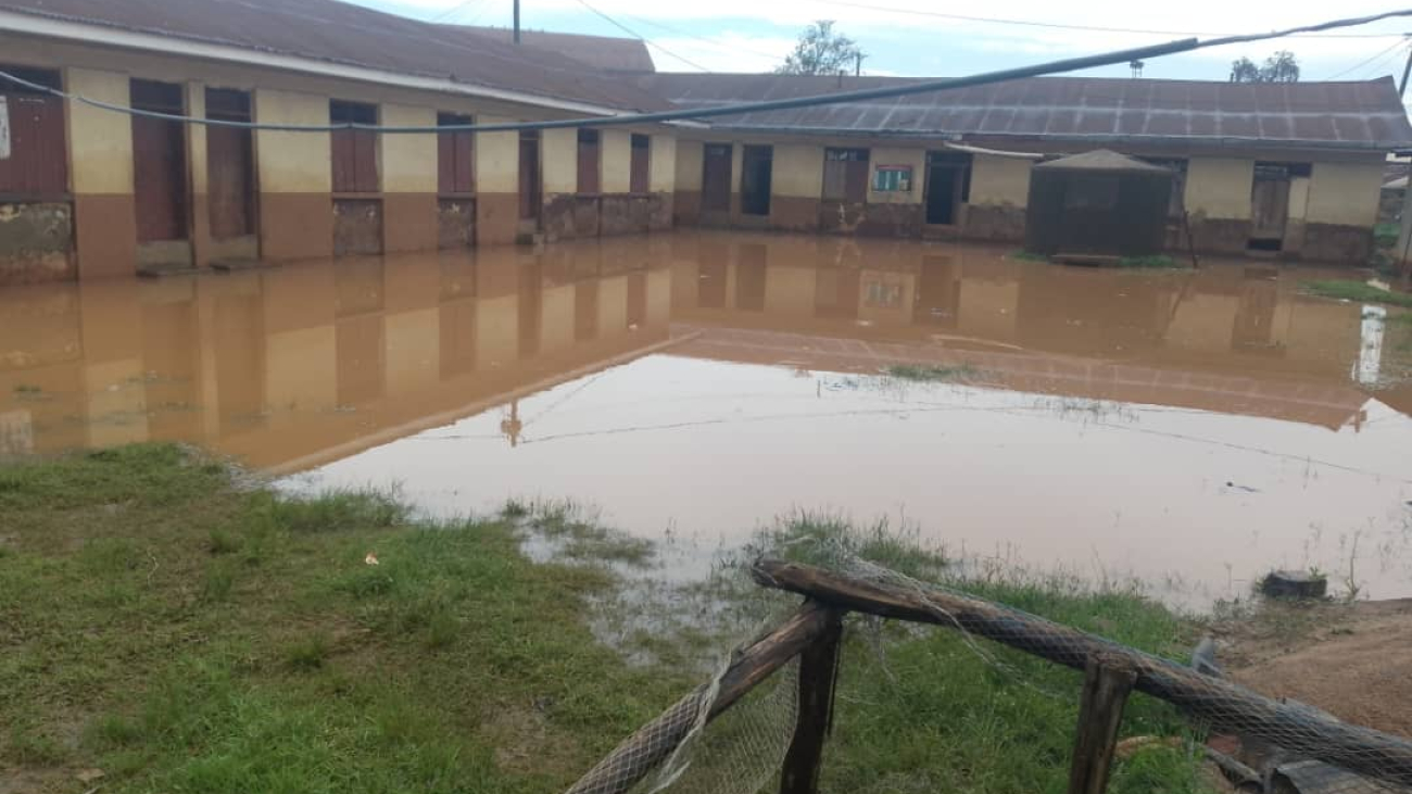 WhatsApp Image 2025-06-03 at 10.21.08 AM