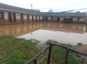 503521437_697403086478957_13397654185245898_n 503521437_697403086478957_13397654185245898_n